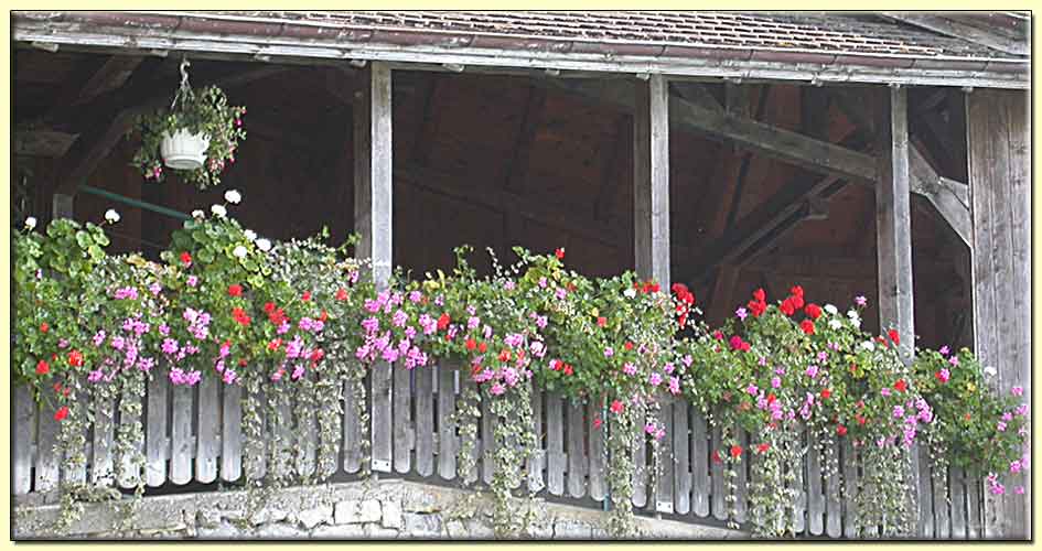    zum nächsten Bild  ....