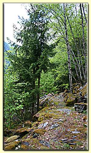    zum nächsten Bild  ... 