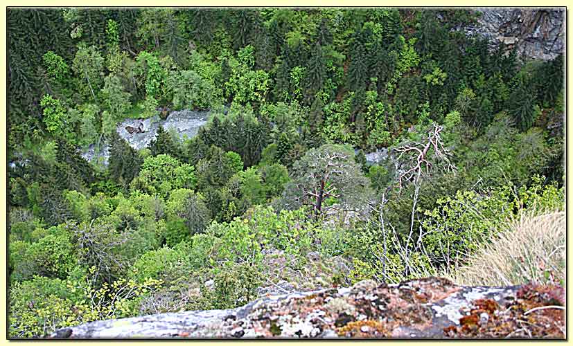    zum nächsten Bild  ... 