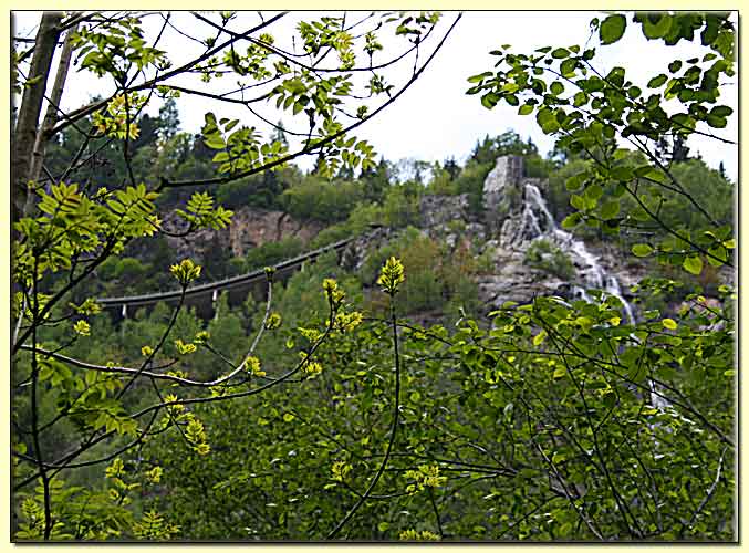    zum nächsten Bild  ... 