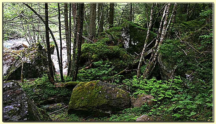    zum nächsten Bild  ... 