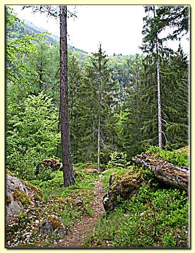    zum nächsten Bild  ... 