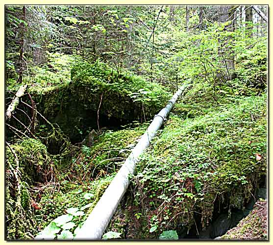    zum nächsten Bild  ... 