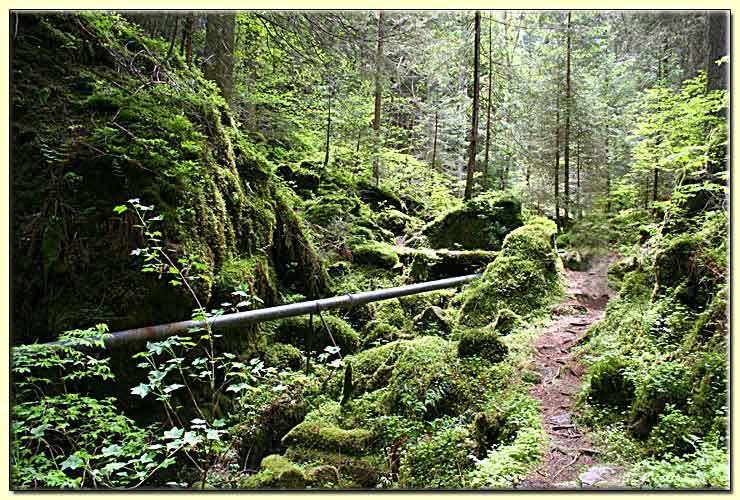    zum nächsten Bild  ... 