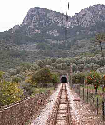  und schon befinden wir uns im Tal der erntereifen Orangen & Zitronen (Februar)   ...   