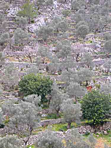    bequem zum arbeiten   ...