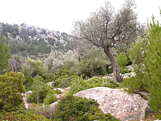     in Eintracht mit der  Nachbarschaft   ...