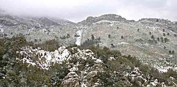      es wird langsam schwarz in grau  ....   