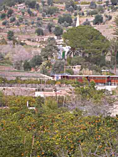    Olivenhaine,Terassen, Zitrusfrüchte, Ferrocarril, Villen   