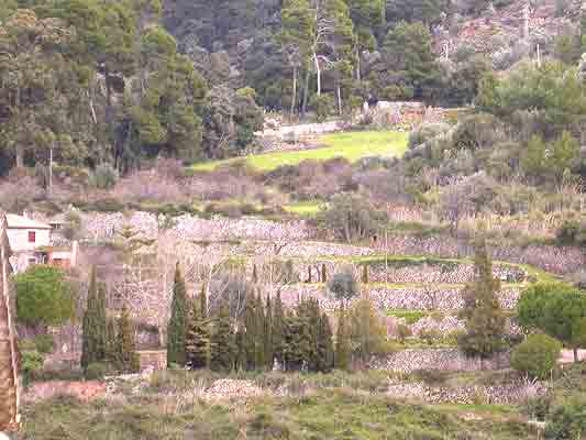       in die Kulturlandschaft       ....   