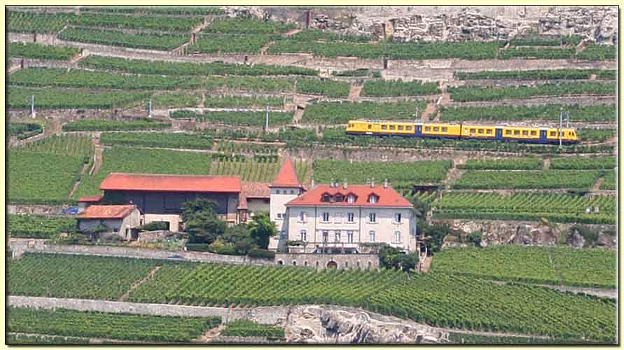     zum nächsten Bild   ....   