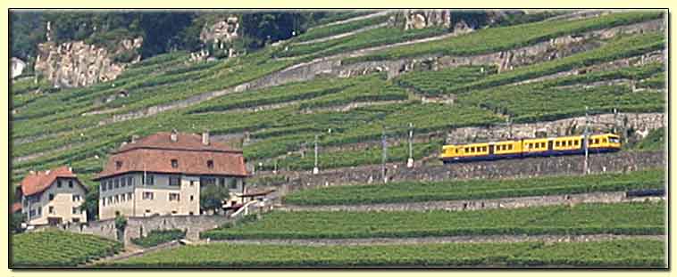     zum nächsten Bild   ....   