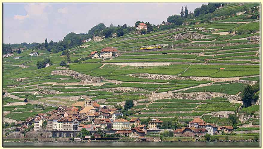     zum nächsten Bild   ....   