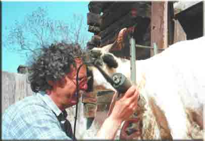    unübliche Liebkosung   ...   